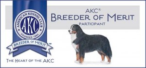 Breeder-of-merit-website-badge
